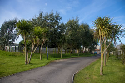 Snipegate Boarding Kennels